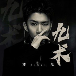 Album 九术 from 潘旭