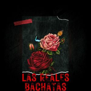Album Las reales Bachatas from Various Artists