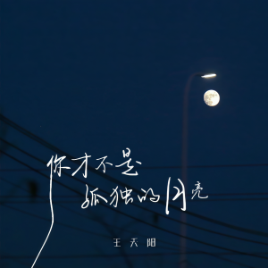 Listen to 你才不是孤独的月亮 (伴奏) song with lyrics from 王天阳