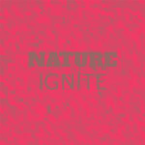 Various Artists的專輯Nature Ignite