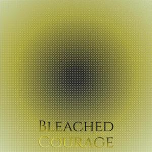 Album Bleached Courage from Various