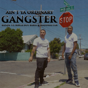 Ain't Ya Ordinary Gangster (feat. Birch Boy Barie & Maddhatter)