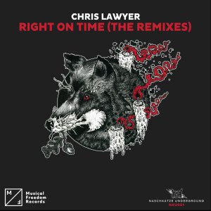 收聽Chris Lawyer & Thomy的Right On Time (Video Edit)歌詞歌曲