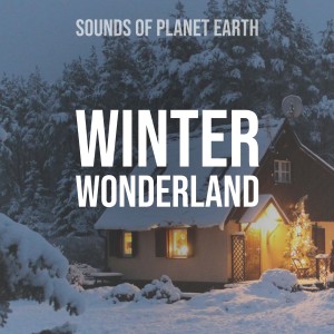 อัลบัม Winter Wonderland ศิลปิน Sounds of Planet Earth