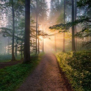 ดาวน์โหลดและฟังเพลง The Symphony Of Light พร้อมเนื้อเพลงจาก Chill Playlist