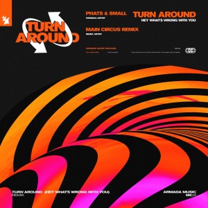 อัลบัม Turn Around (Hey What's Wrong With You) ศิลปิน Phats & Small