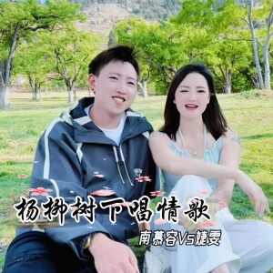Album 杨柳树下唱情歌 from 南慕容