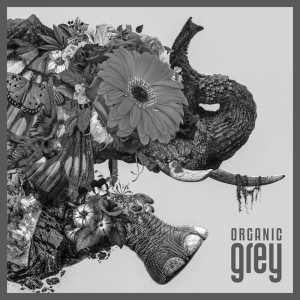 Dengarkan lagu Hi I'm Grey (Explicit) nyanyian Grey dengan lirik
