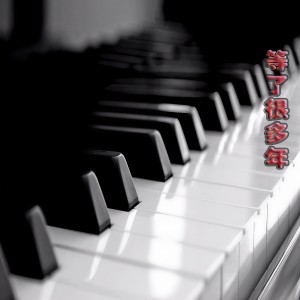 Dengarkan 等了很多年 lagu dari 宣歌 dengan lirik