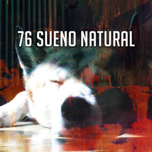 Album 76 Sueno Natural from White Noise