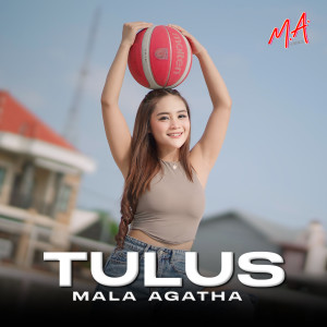 Album Tulus from Mala Agatha