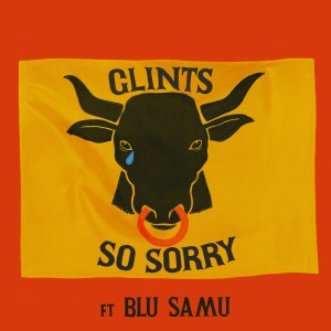Album So Sorry from Blu Samu
