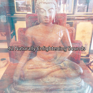 อัลบัม 42 Naturally Enlightening Sounds ศิลปิน Sound Library XL