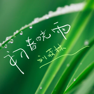 Album 初春晓雨 from 刘森林