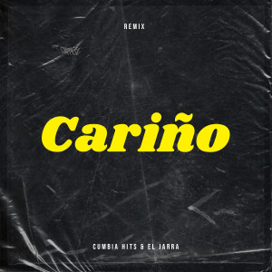 收聽Cumbia Hits的Cariño (Remix)歌詞歌曲