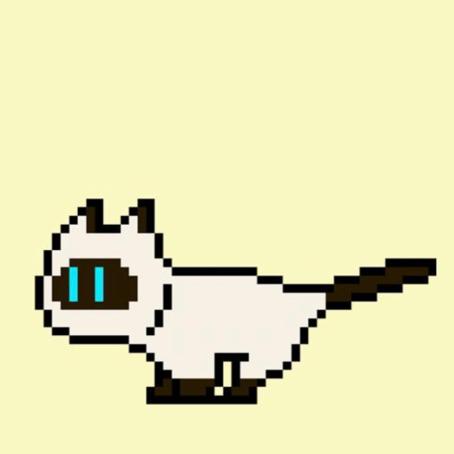 黑猫泡C17