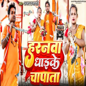Album Harnava Dahike Chapata from Ajay Prajapati