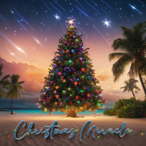 Album Christmas Miracle oleh Sims