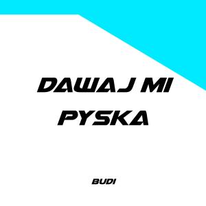 Listen to Dawaj Mi Pyska song with lyrics from Budi