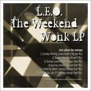 ดาวน์โหลดและฟังเพลง How Do You Like It? (Hostage Flash Mix) พร้อมเนื้อเพลงจาก Leo