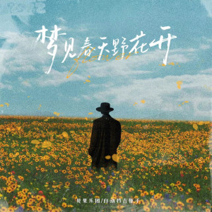 收聽自动挡吉他手的夢見春天野花開 (DJ偏離版)歌詞歌曲