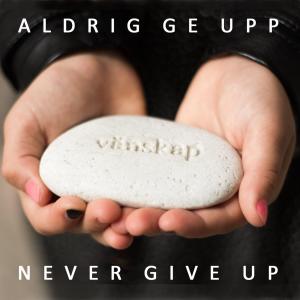Listen to Aldrig ge upp song with lyrics from Ylva & Linda