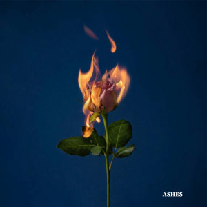 ดาวน์โหลดและฟังเพลง Ashes พร้อมเนื้อเพลงจาก Faith In May