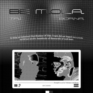 Borna的专辑Be Mola (Explicit)