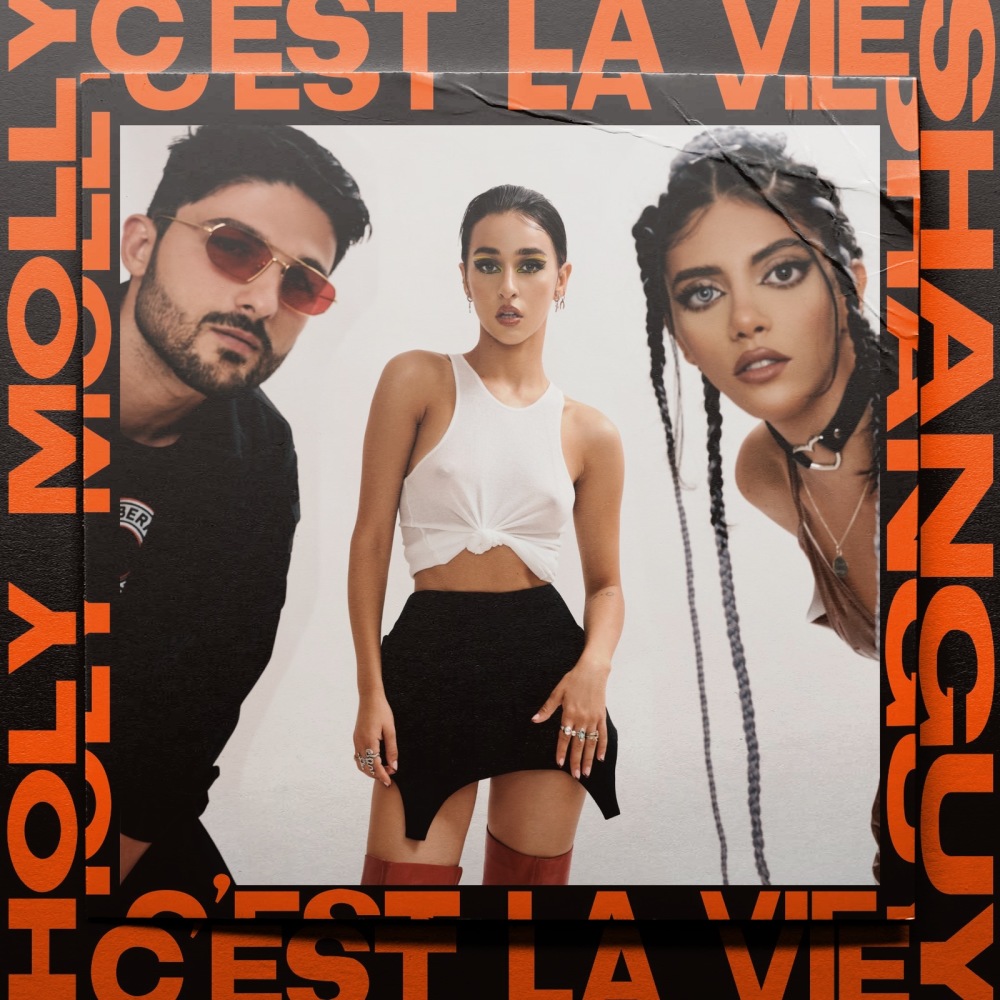 C'est la Vie (NRD1 Remix Extended)