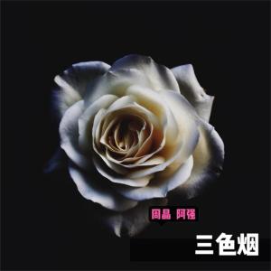 收听周晶的秋意浓歌词歌曲