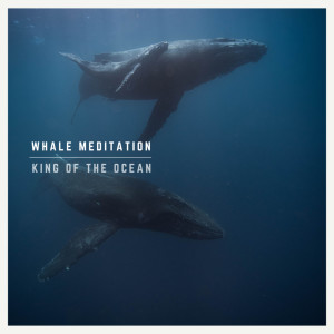 ดาวน์โหลดและฟังเพลง Whales and Bubbles พร้อมเนื้อเพลงจาก King Of The Ocean