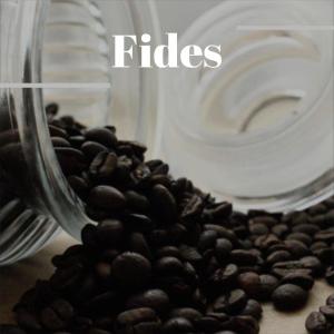 Fides dari Various