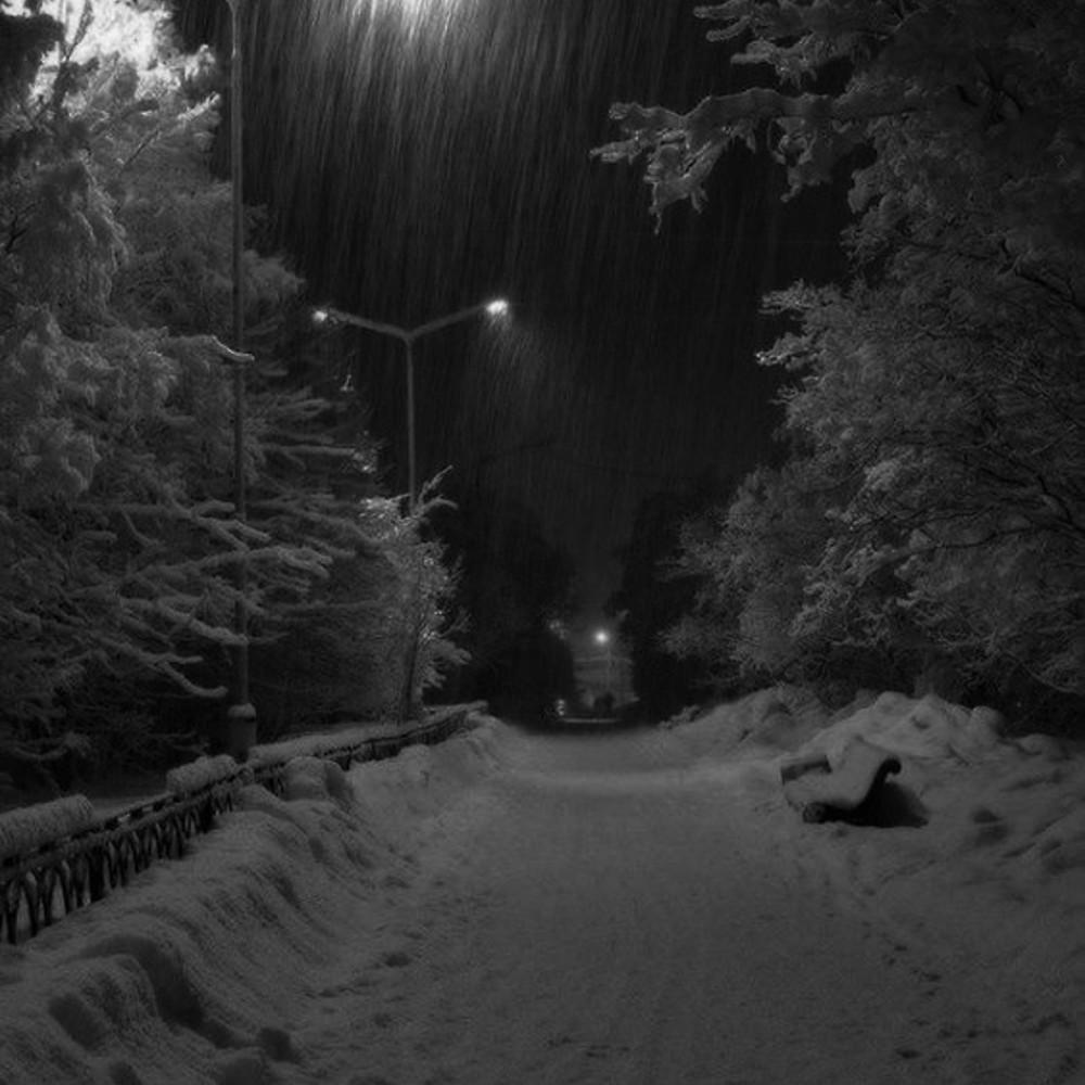 Snowy Dream