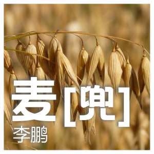 收聽李鵬的麥兜歌詞歌曲