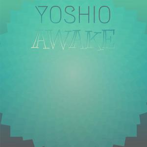 Album Yoshio Awake from Various