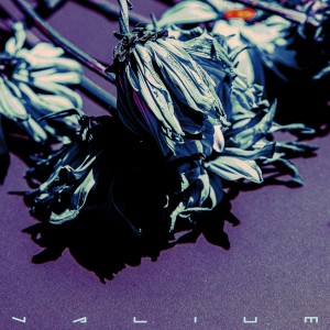 Listen to Valium (Explicit) song with lyrics from Baskjat
