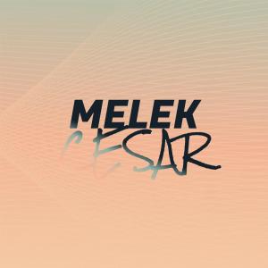 Listen to Reasonably Evite song with lyrics from Krisa Samen