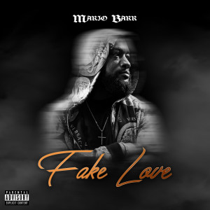 Listen to Fake Love (Explicit) song with lyrics from Mario Barr