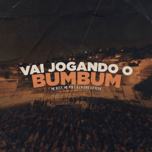Album Vai Jogando o Bumbum (Explicit) from Dj Pedro Azevedo