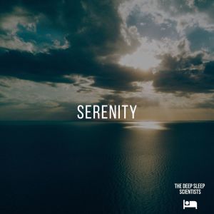 Dengarkan Gratitude lagu dari The Deep Sleep Scientists dengan lirik