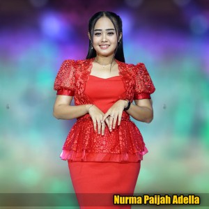 Nurma Paijah Adella的专辑Ku Ingin