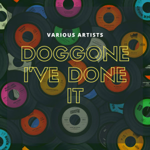 Album Doggone I've Done It from The Dorsey Brothers
