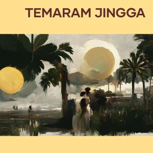Album Temaram Jingga oleh Budi Rahmadi
