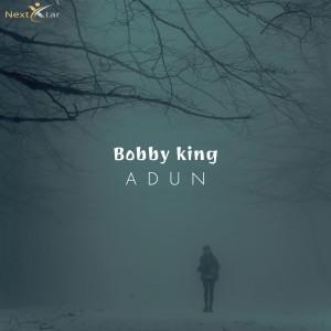ดาวน์โหลดและฟังเพลง Adun พร้อมเนื้อเพลงจาก Bobby King