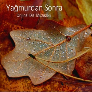 Album Yağmurdan Sonra (Orijinal Dizi Müzikleri) from Bora Ebeoğlu