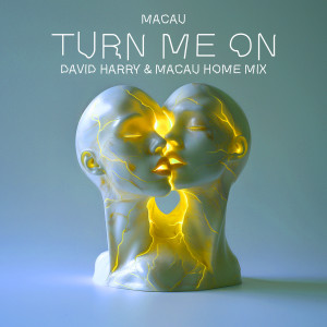 收聽Macau的TURN ME ON (David Harry & Macau Home Instrumental Mix)歌詞歌曲