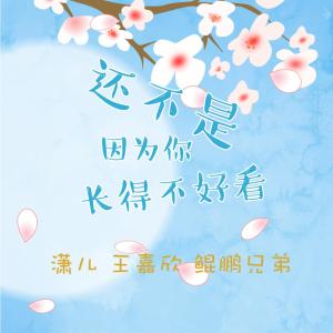 ดาวน์โหลดและฟังเพลง 還不是因為你長得不好看 (真人版） พร้อมเนื้อเพลงจาก 潇儿