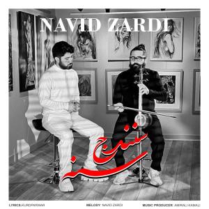 收聽Navid Zardi的SNA (SANANDAJ)歌詞歌曲
