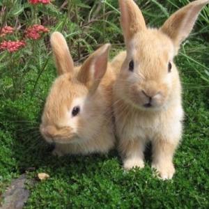 收聽BLUU!的happy ever after!歌詞歌曲