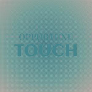 Various的专辑Opportune Touch